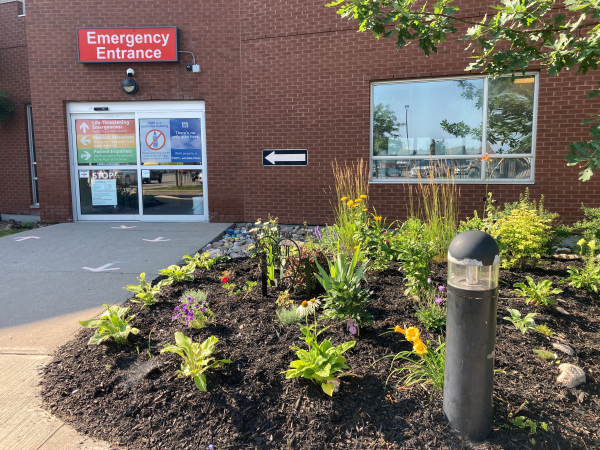 Emergency  Department garden content images